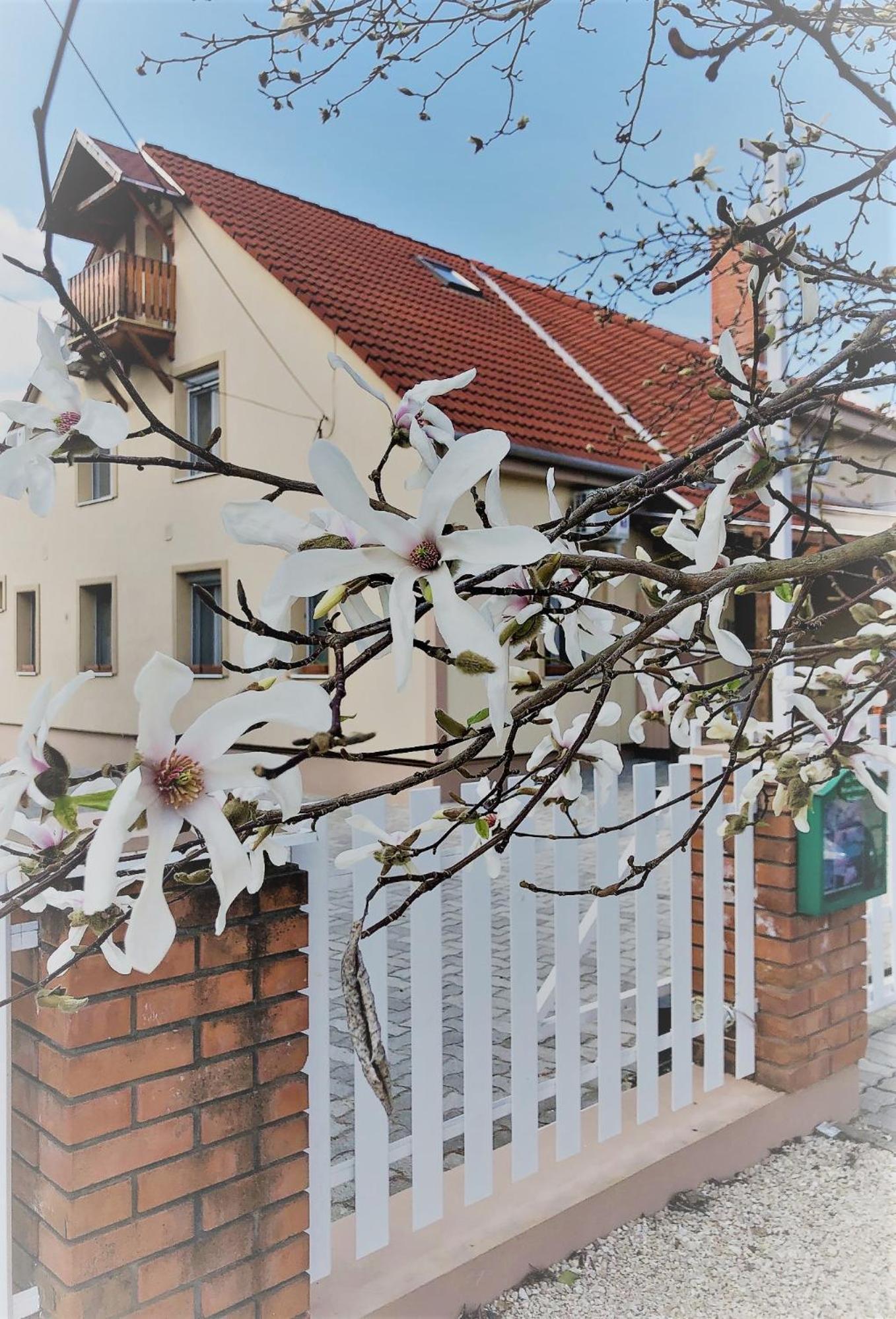 Hotel Kis Szarcsa Vendeghaz Gárdony Exterior foto